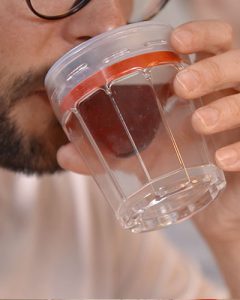 Funktionen von sippa